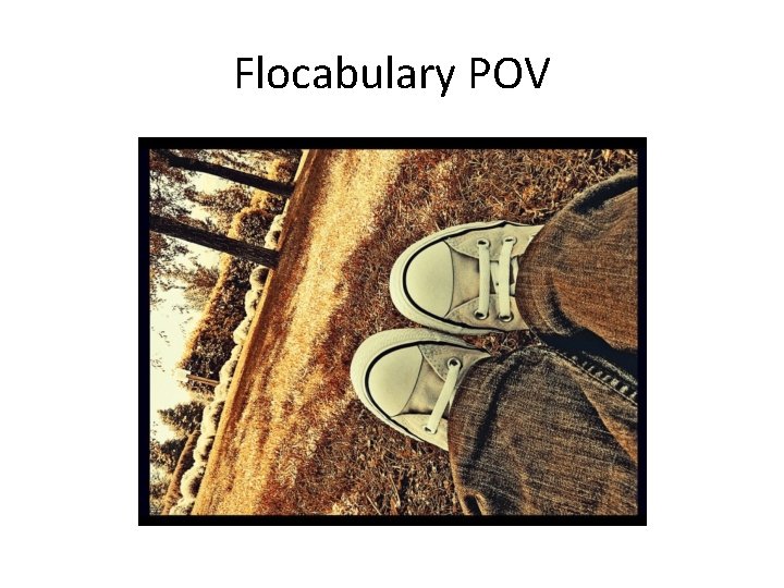 Flocabulary POV Flocabulary POV
