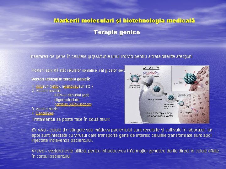 Markerii moleculari şi biotehnologia medicală Terapie genica Inserarea de gene în celulele şi ţesuturile