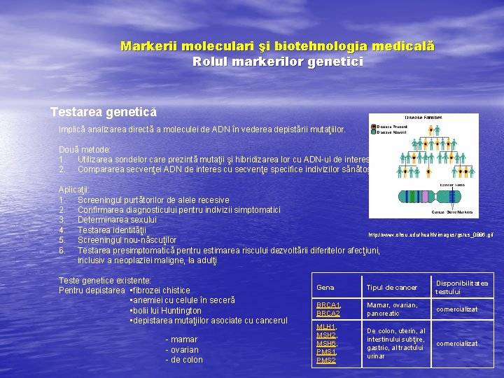 Markerii moleculari şi biotehnologia medicală Rolul markerilor genetici Testarea genetică Implică analizarea directă a