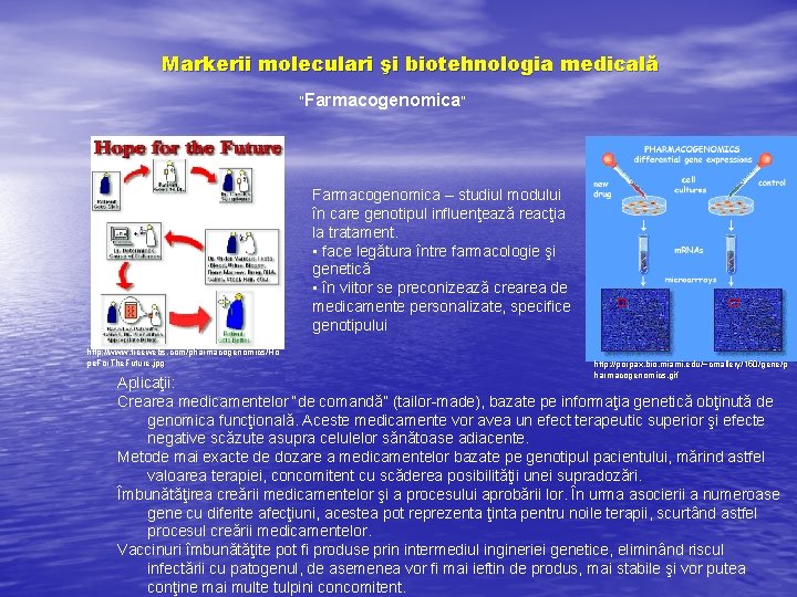 Markerii moleculari şi biotehnologia medicală “Farmacogenomica” Farmacogenomica – studiul modului în care genotipul influenţează