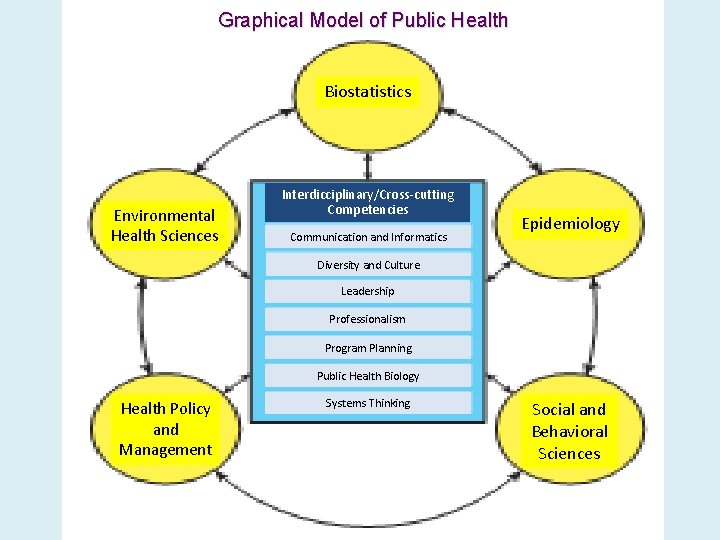 Graphical Model of Public Health Biostatistics Environmental Health Sciences Interdicciplinary/Cross-cutting Competencies Communication and Informatics