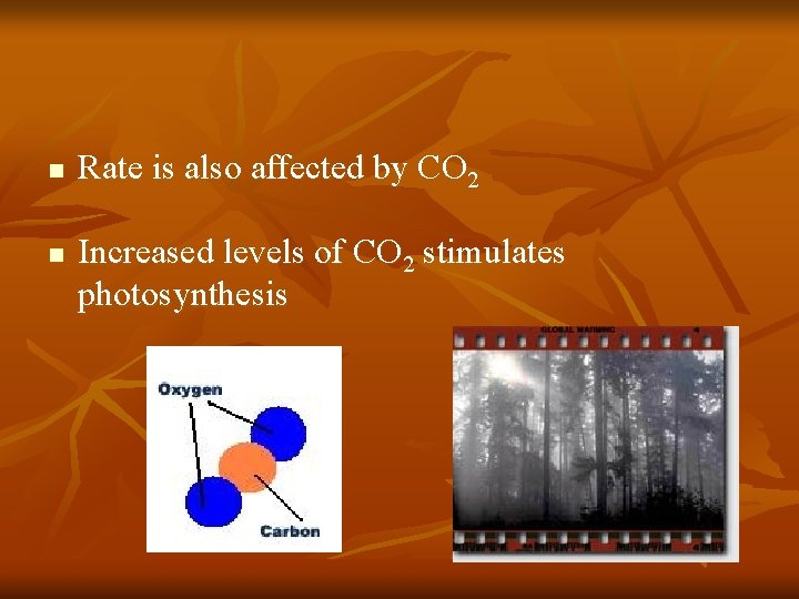 n n Rate is also affected by CO 2 Increased levels of CO 2