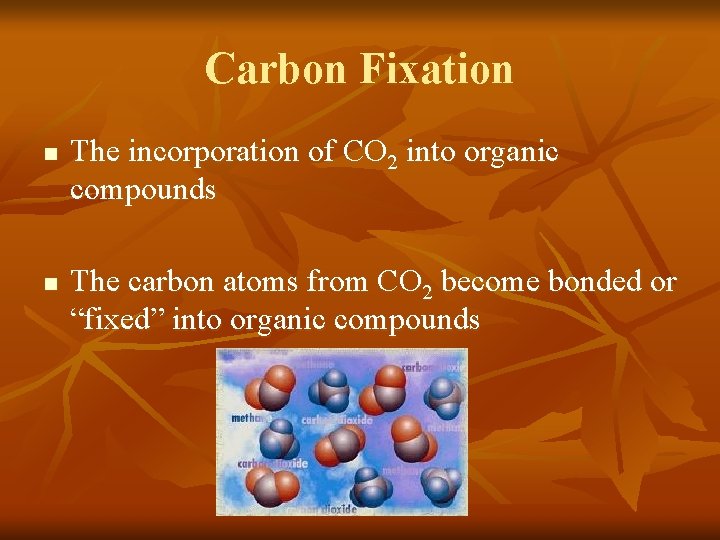 Carbon Fixation n n The incorporation of CO 2 into organic compounds The carbon