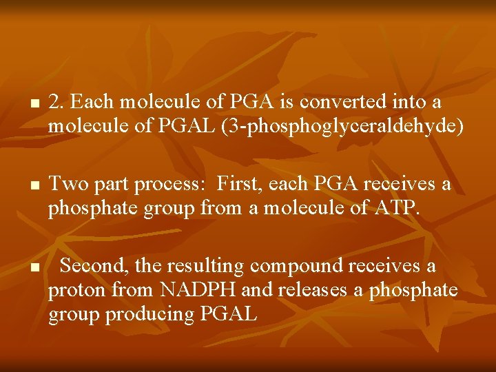 n n n 2. Each molecule of PGA is converted into a molecule of