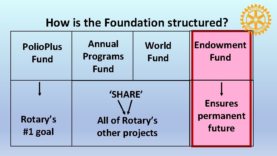 How is the Foundation structured? Polio. Plus Fund Annual Programs Fund World Fund ‘SHARE’