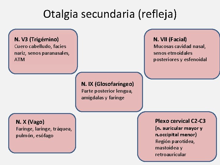 Otalgia secundaria (refleja) N. V 3 (Trigémino) N. VII (Facial) Cuero cabelludo, facies nariz,