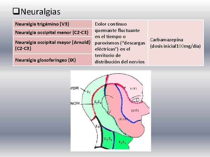 q. Neuralgias Dolor continuo Neuralgia occipital menor (C 2 -C 3) quemante fluctuante en