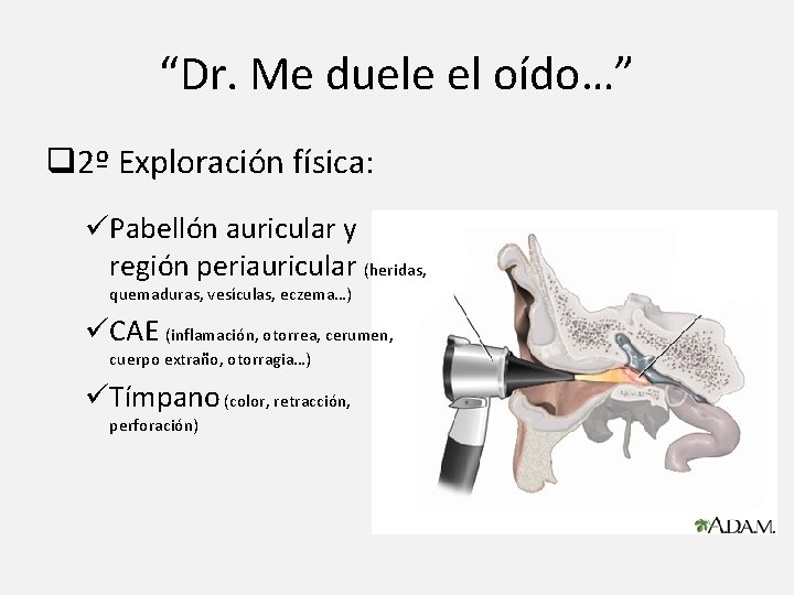 “Dr. Me duele el oído…” q 2º Exploración física: üPabellón auricular y región periauricular