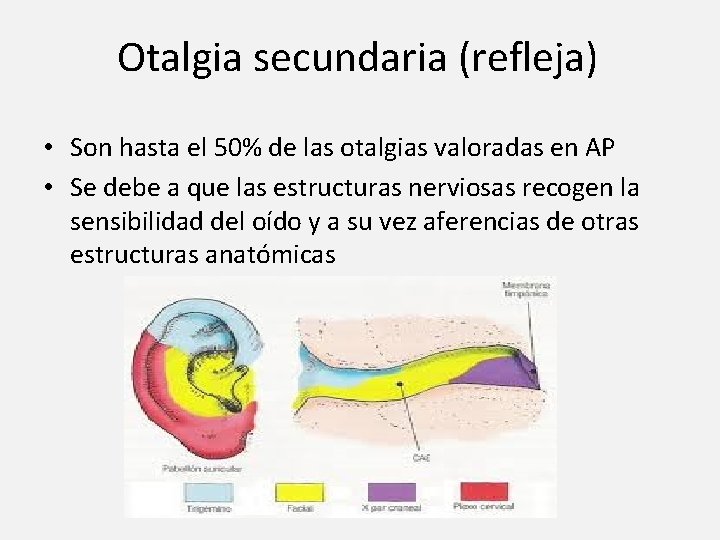 Otalgia secundaria (refleja) • Son hasta el 50% de las otalgias valoradas en AP
