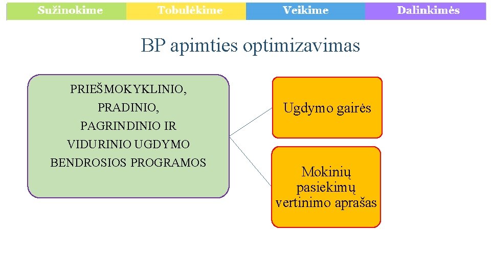 BP apimties optimizavimas PRIEŠMOKYKLINIO, PRADINIO, Ugdymo gairės PAGRINDINIO IR VIDURINIO UGDYMO BENDROSIOS PROGRAMOS Mokinių