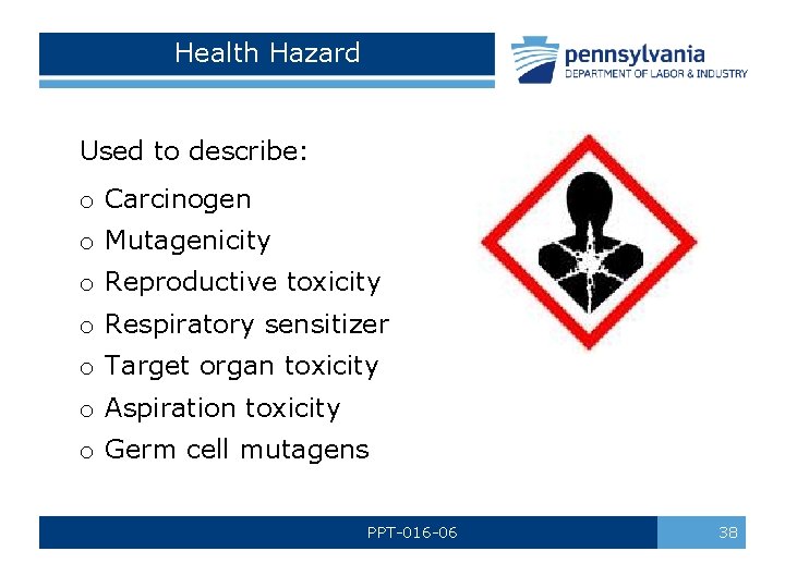 Health Hazard Used to describe: o Carcinogen o Mutagenicity o Reproductive toxicity o Respiratory Health Hazard Used to describe: o Carcinogen o Mutagenicity o Reproductive toxicity o Respiratory