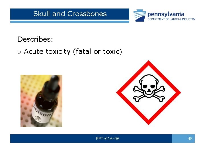 Skull and Crossbones Describes: o Acute toxicity (fatal or toxic) PPT-016 -06 45 Skull and Crossbones Describes: o Acute toxicity (fatal or toxic) PPT-016 -06 45