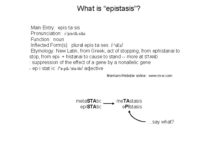 papillary mesothelioma cancer