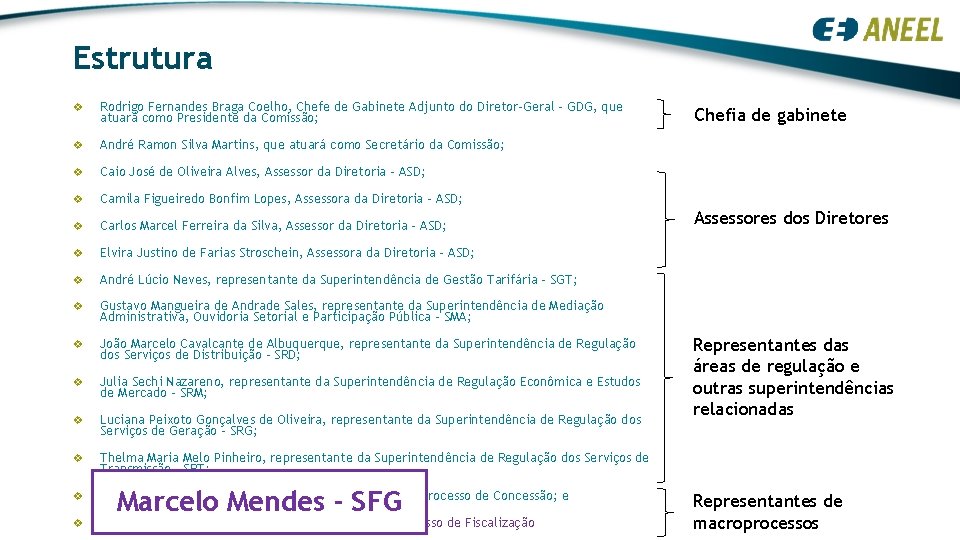 Estrutura v Rodrigo Fernandes Braga Coelho, Chefe de Gabinete Adjunto do Diretor-Geral – GDG, Estrutura v Rodrigo Fernandes Braga Coelho, Chefe de Gabinete Adjunto do Diretor-Geral – GDG,