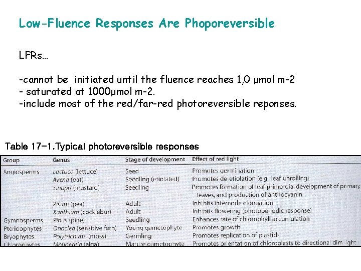 Low-Fluence Responses Are Phoporeversible LFRs… -cannot be initiated until the fluence reaches 1, 0