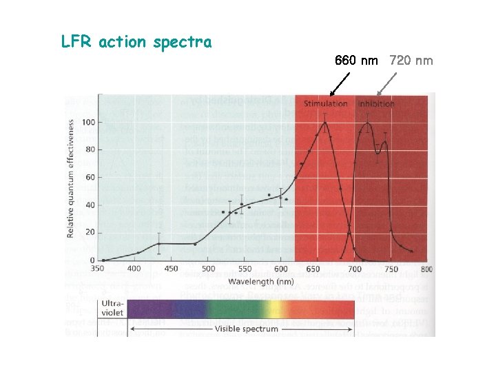 LFR action spectra 660 nm 720 nm 