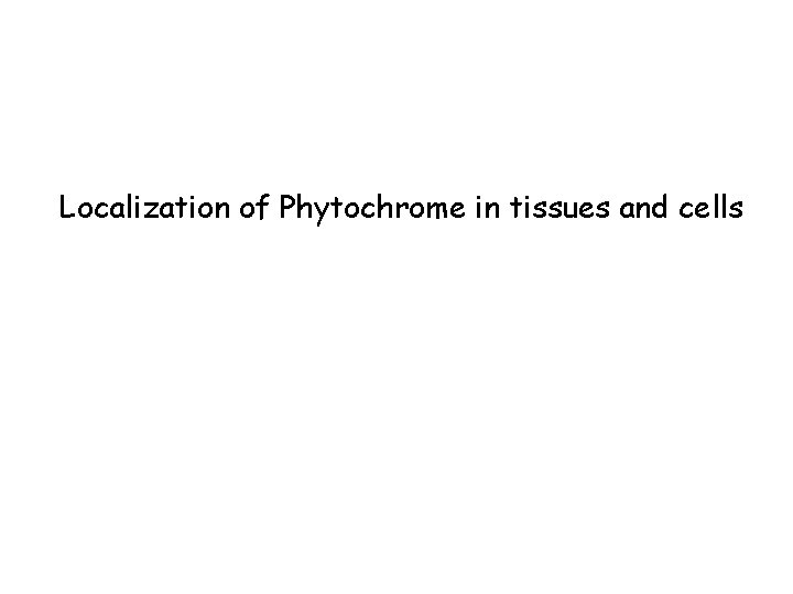 Localization of Phytochrome in tissues and cells 