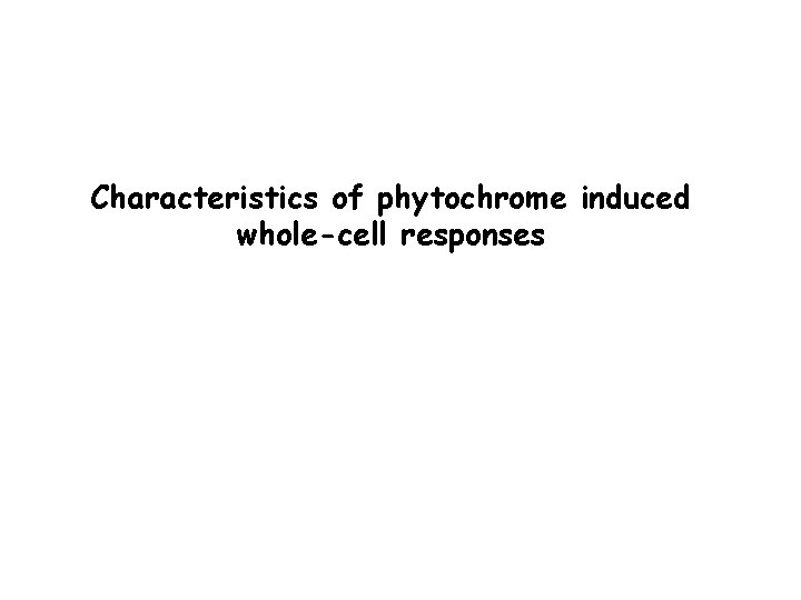 Characteristics of phytochrome induced whole-cell responses 