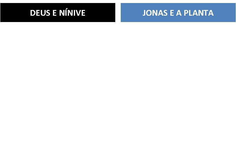 DEUS E NÍNIVE JONAS E A PLANTA • Deus se interessava pelo povo de