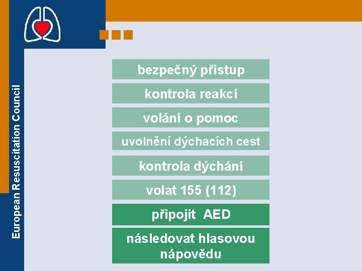 European Resuscitation Council bezpečný přístup kontrola reakcí volání o pomoc uvolnění dýchacích cest kontrola European Resuscitation Council bezpečný přístup kontrola reakcí volání o pomoc uvolnění dýchacích cest kontrola