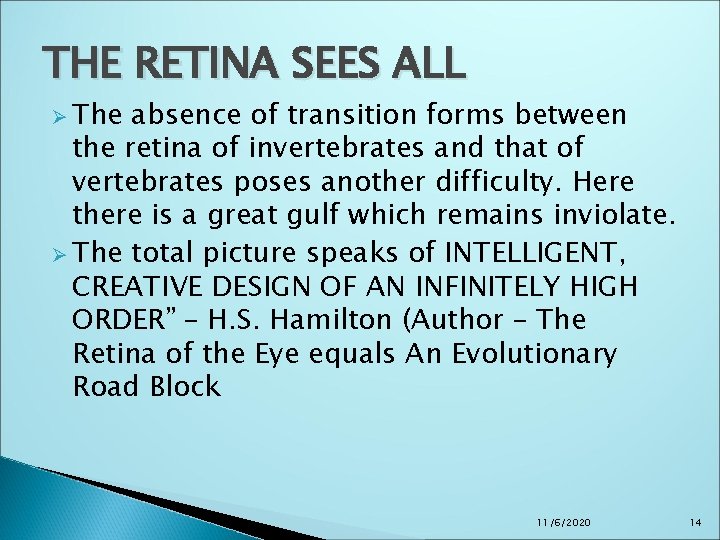 THE RETINA SEES ALL Ø The absence of transition forms between the retina of THE RETINA SEES ALL Ø The absence of transition forms between the retina of