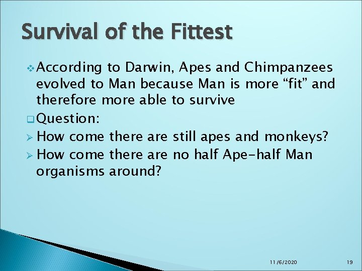 Survival of the Fittest v According to Darwin, Apes and Chimpanzees evolved to Man Survival of the Fittest v According to Darwin, Apes and Chimpanzees evolved to Man