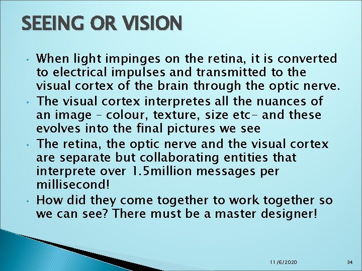 SEEING OR VISION • • When light impinges on the retina, it is converted SEEING OR VISION • • When light impinges on the retina, it is converted