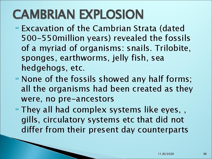 CAMBRIAN EXPLOSION Excavation of the Cambrian Strata (dated 500 -550 million years) revealed the CAMBRIAN EXPLOSION Excavation of the Cambrian Strata (dated 500 -550 million years) revealed the