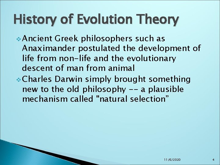 History of Evolution Theory v Ancient Greek philosophers such as Anaximander postulated the development History of Evolution Theory v Ancient Greek philosophers such as Anaximander postulated the development