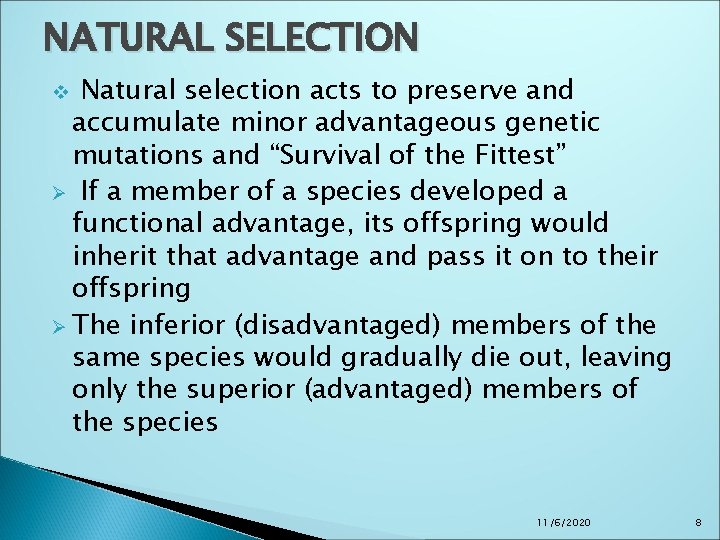 NATURAL SELECTION Natural selection acts to preserve and accumulate minor advantageous genetic mutations and NATURAL SELECTION Natural selection acts to preserve and accumulate minor advantageous genetic mutations and