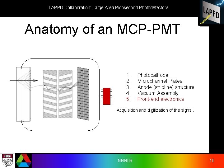 LAPPD Collaboration: Large Area Picosecond Photodetectors Anatomy of an MCP-PMT 1. 2. 3. 4.