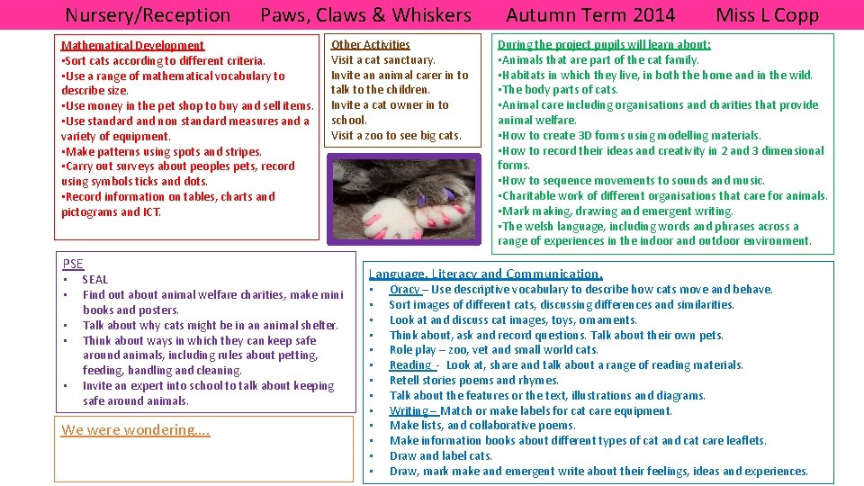 Nursery/Reception Paws, Claws & Whiskers Mathematical Development • Sort cats according to different criteria.