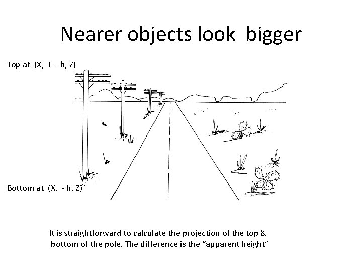 Nearer objects look bigger Top at (X, L – h, Z) Bottom at (X, Nearer objects look bigger Top at (X, L – h, Z) Bottom at (X,