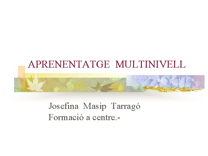 APRENENTATGE MULTINIVELL Josefina Masip Tarragó Formació a centre. - 