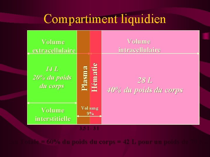 Compartiment liquidien Volume intracellulaire 14 L 20% du poids du corps Volume interstitielle Plasma Compartiment liquidien Volume intracellulaire 14 L 20% du poids du corps Volume interstitielle Plasma