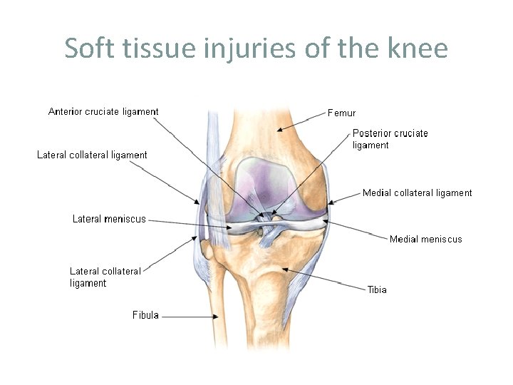 Soft tissue injuries of the knee 