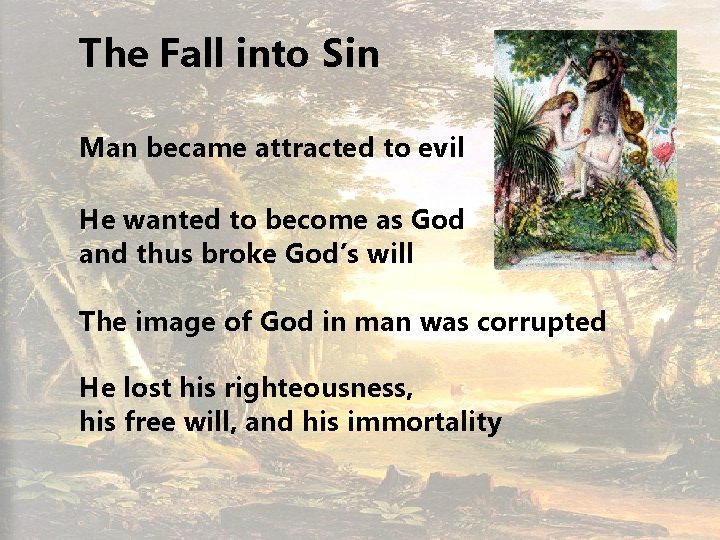 The Fall into Sin Man became attracted to evil He wanted to become as