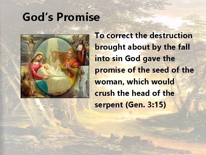 God’s Promise To correct the destruction brought about by the fall into sin God