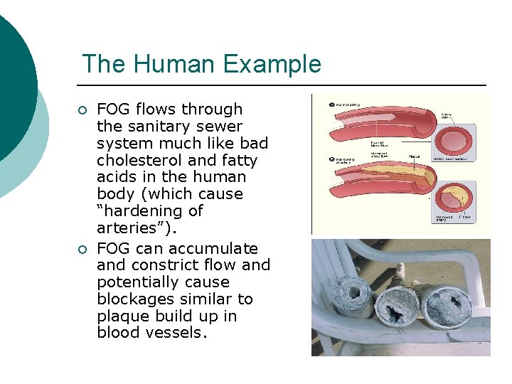 The Human Example ¡ ¡ FOG flows through the sanitary sewer system much like