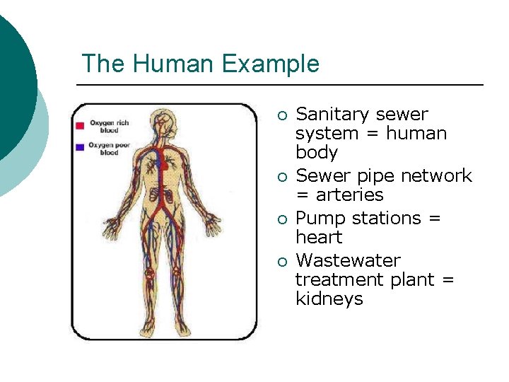 The Human Example ¡ ¡ Sanitary sewer system = human body Sewer pipe network