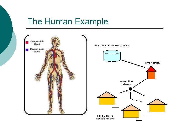 The Human Example Wastewater Treatment Plant Pump Station Sewer Pipe Network Food Service Establishments