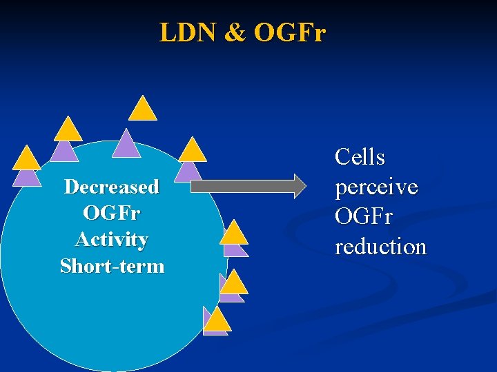 LDN & OGFr Decreased OGFr Activity Short-term Cells perceive OGFr reduction 