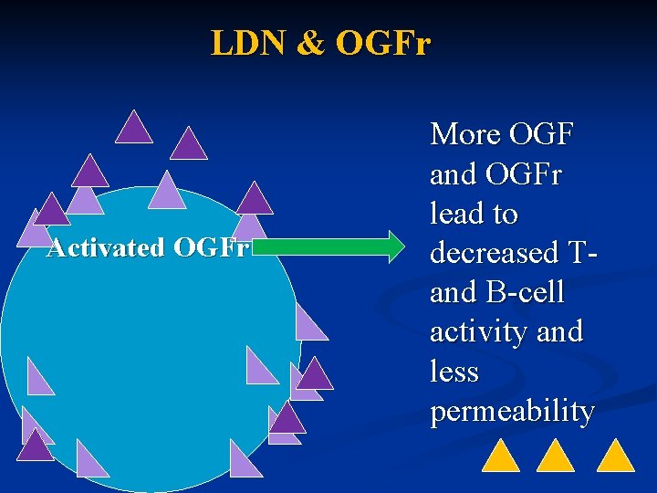 LDN & OGFr Activated OGFr More OGF and OGFr lead to decreased T- and