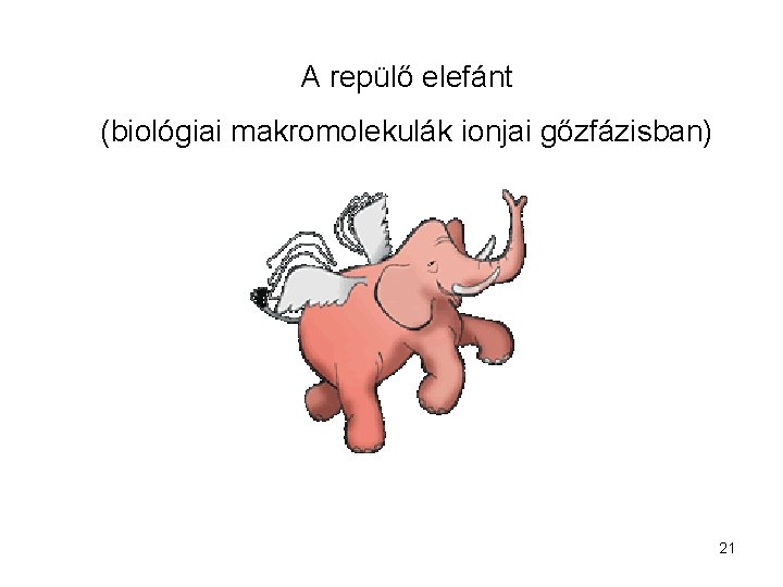 A repülő elefánt (biológiai makromolekulák ionjai gőzfázisban) 21 