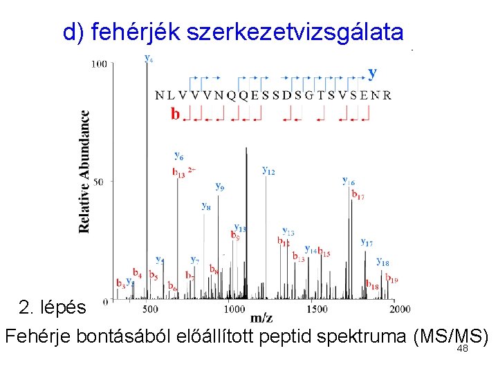 d) fehérjék szerkezetvizsgálata 2. lépés Fehérje bontásából előállított peptid spektruma (MS/MS) 48 
