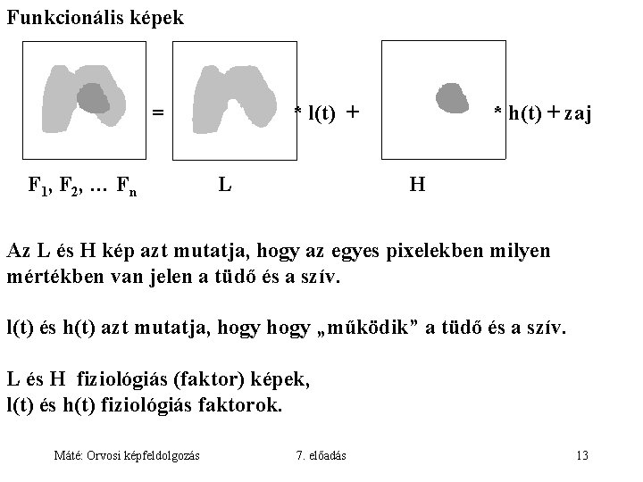 Funkcionális képek = F 1, F 2, … Fn * l(t) + L *