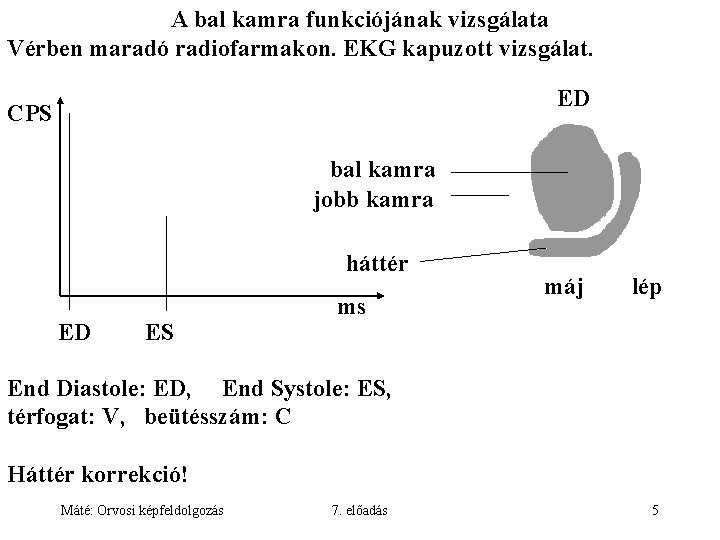 A bal kamra funkciójának vizsgálata Vérben maradó radiofarmakon. EKG kapuzott vizsgálat. ED CPS bal