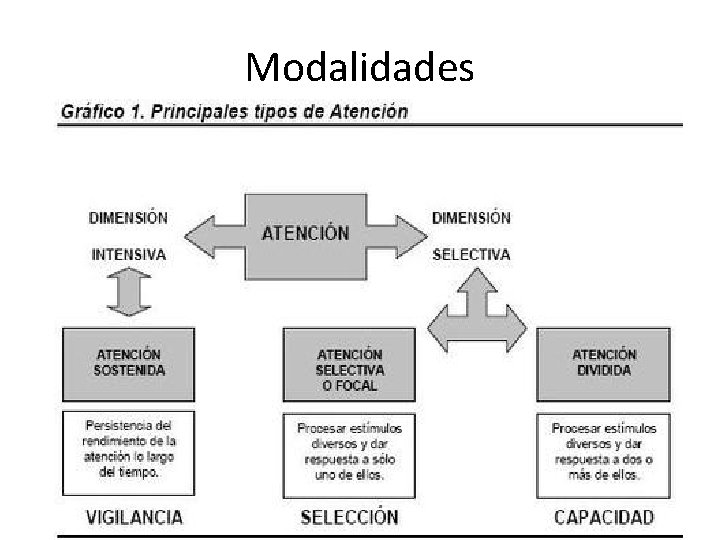 Modalidades 