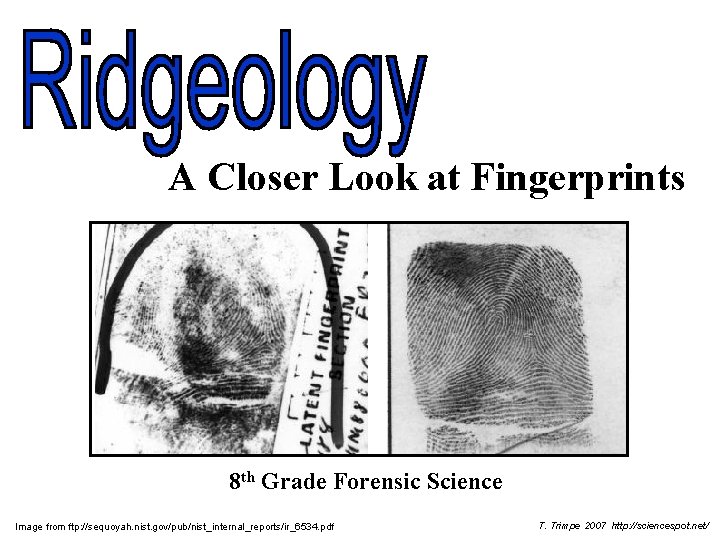 A Closer Look at Fingerprints 8 th Grade Forensic Science Image from ftp: //sequoyah.