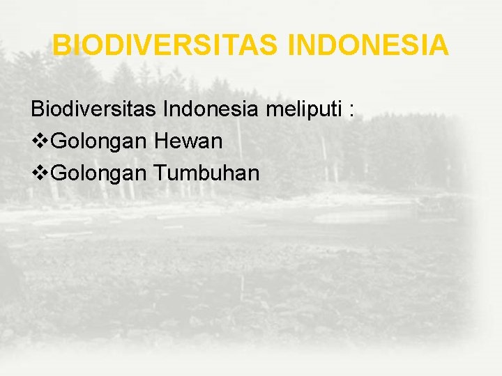 BIODIVERSITAS INDONESIA Biodiversitas Indonesia meliputi : v. Golongan Hewan v. Golongan Tumbuhan 